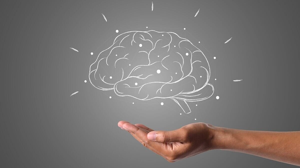 A idade que atingimos o auge da inteligência, conforme estudos