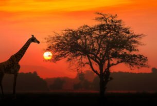África do Sul com bons preços! Voos da Latam a partir de R$ 3.066 ida e volta para Joanesburgo ou Cidade do Cabo