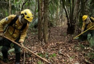 Amazônia tem menor desmatamento já registrado em quase 40 anos