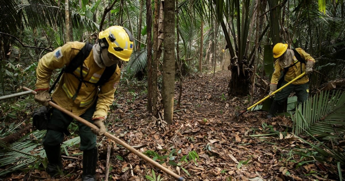 Amazônia tem menor desmatamento já registrado em quase 40 anos