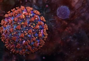 Animal-borne Shamonda virus infects and kills a human for the first time