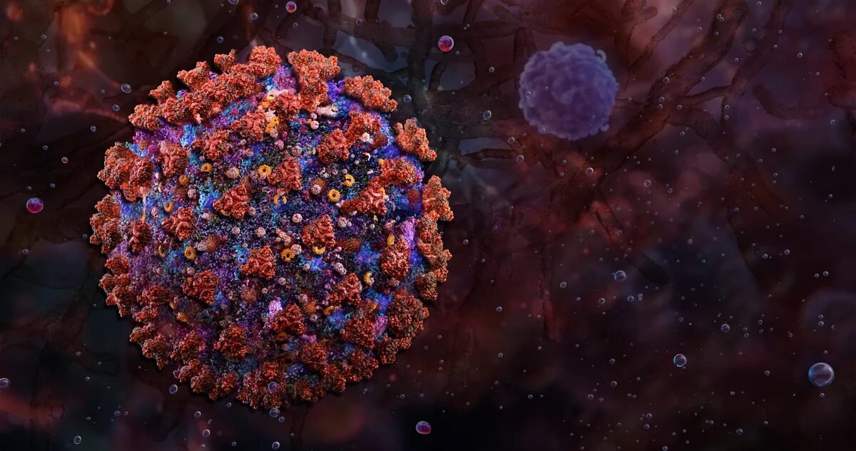 Animal-borne Shamonda virus infects and kills a human for the first time