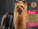 Apetite seletivo em cães: como a nutrição pode ajudar