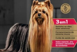 Apetite seletivo em cães: como a nutrição pode ajudar