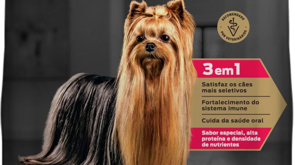 Apetite seletivo em cães: como a nutrição pode ajudar