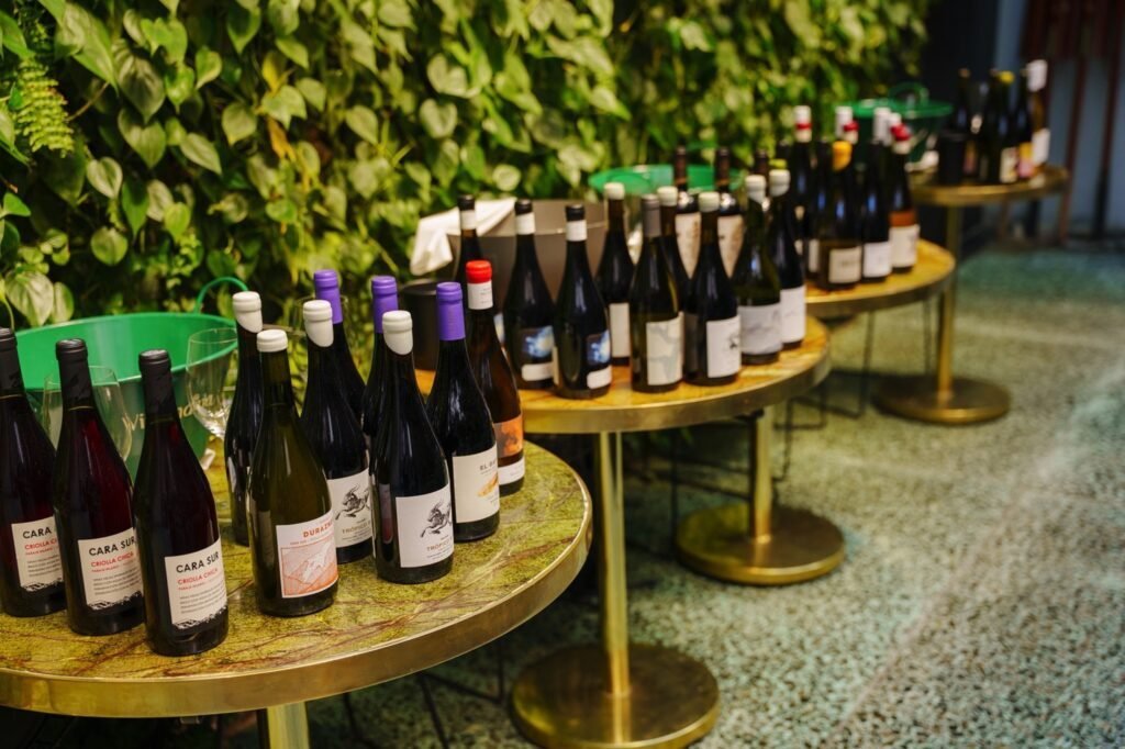 Argentina Reloaded traz ao Brasil os novos caminhos do vinho argentino