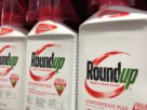 Bayer vence julgamento sobre acusações de câncer contra Roundup