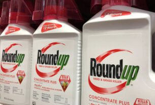 Bayer vence julgamento sobre acusações de câncer contra Roundup