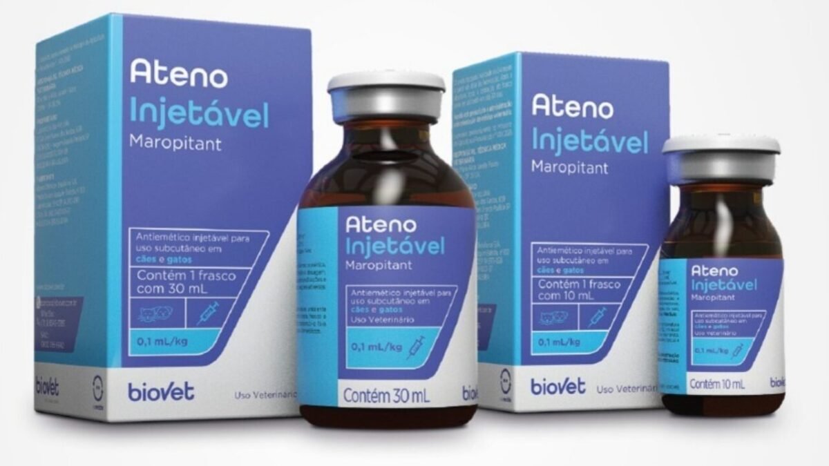 Biovet lança Ateno: primeiro maropitant injetável com indicação em bula para cães e gatos no Brasil