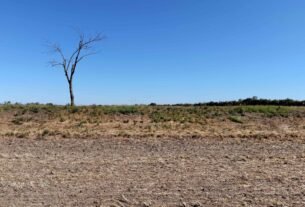 Cientistas pedem que crise climática seja declarada emergência de saúde global