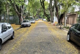 Com flores nas ruas, outubro é ótimo mês para correr