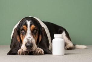 Compra frequente e decisão individual redesenham a jornada do medicamento pet