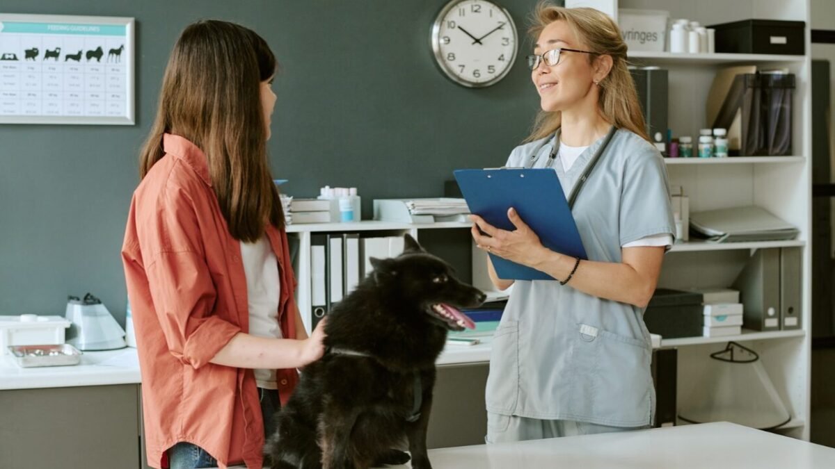 Comunicação e decisão consciente na Medicina Veterinária: pilares de uma assistência segura