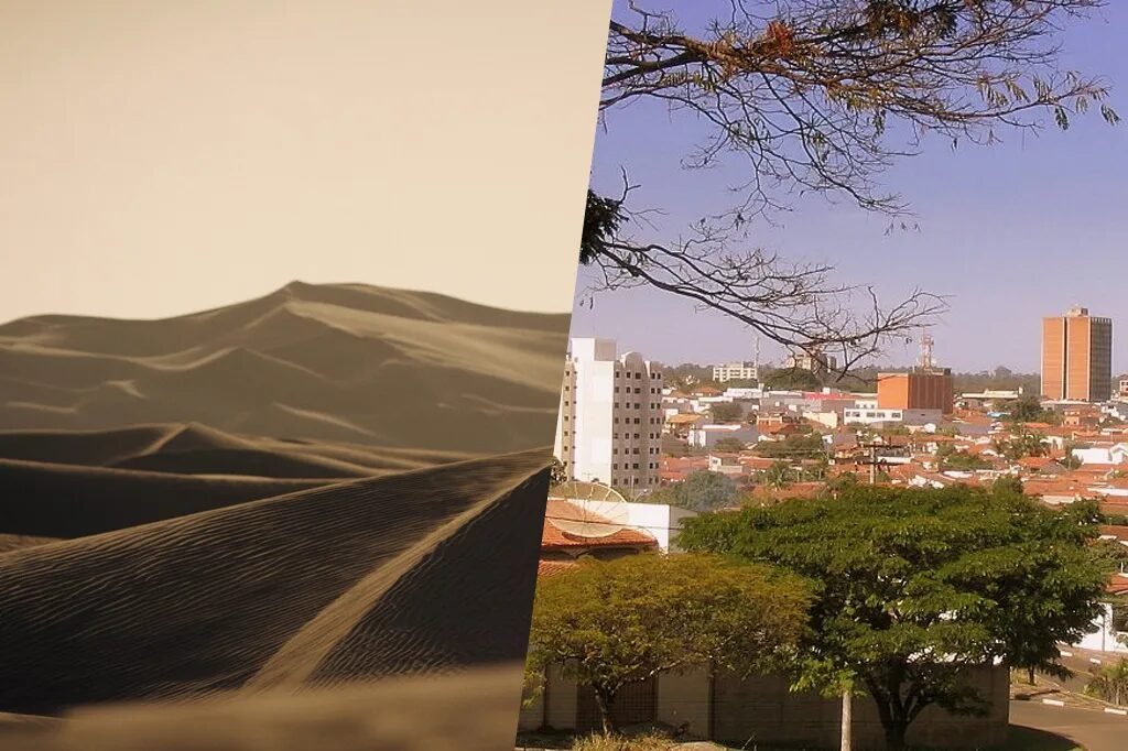 Conexões: de Arrakis a Araras