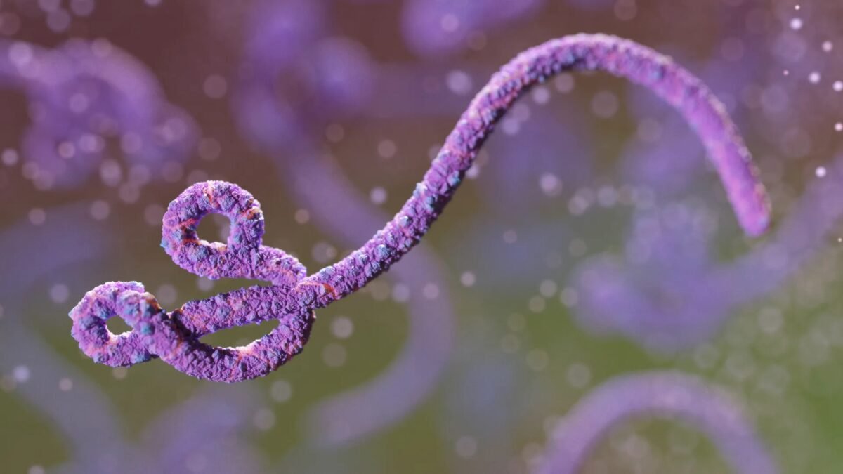Congo inicia testes de vacina em meio ao surto da espécie mais letal já registrado do Ebola