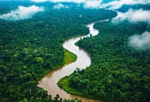 Conheça a Amazônia! Passagens aéreas para Manaus e Belém a partir de R$ 680 ida e volta