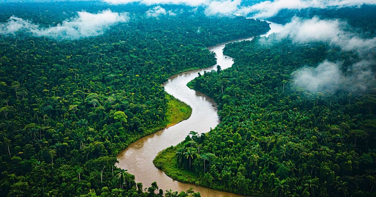 Conheça a Amazônia! Passagens aéreas para Manaus e Belém a partir de R$ 680 ida e volta