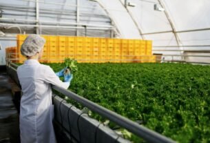 De chocolate a bebidas: onde trabalha um engenheiro de alimentos?