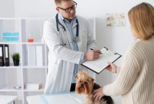 Desinformação digital chega aos consultórios veterinários e desafia a comunicação clínica