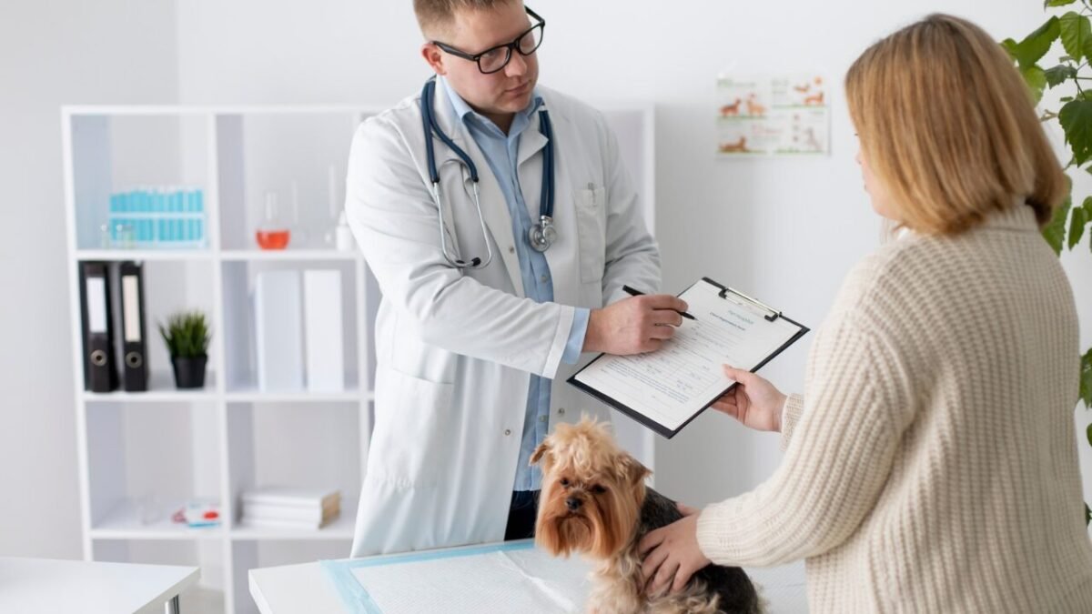 Desinformação digital chega aos consultórios veterinários e desafia a comunicação clínica