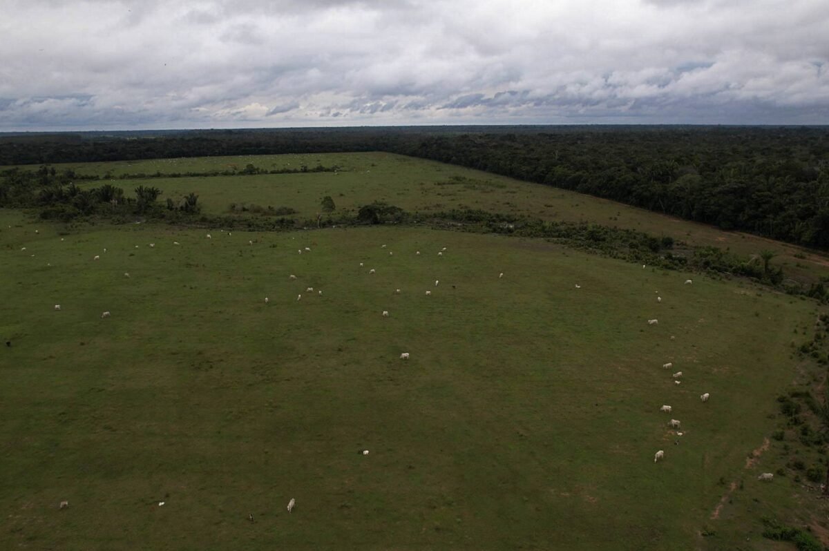 Desmatamento na Amazônia atinge menor nível da série histórica em 2025