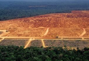Desmatamento na Amazônia e no Cerrado cai para o menor nível da série histórica