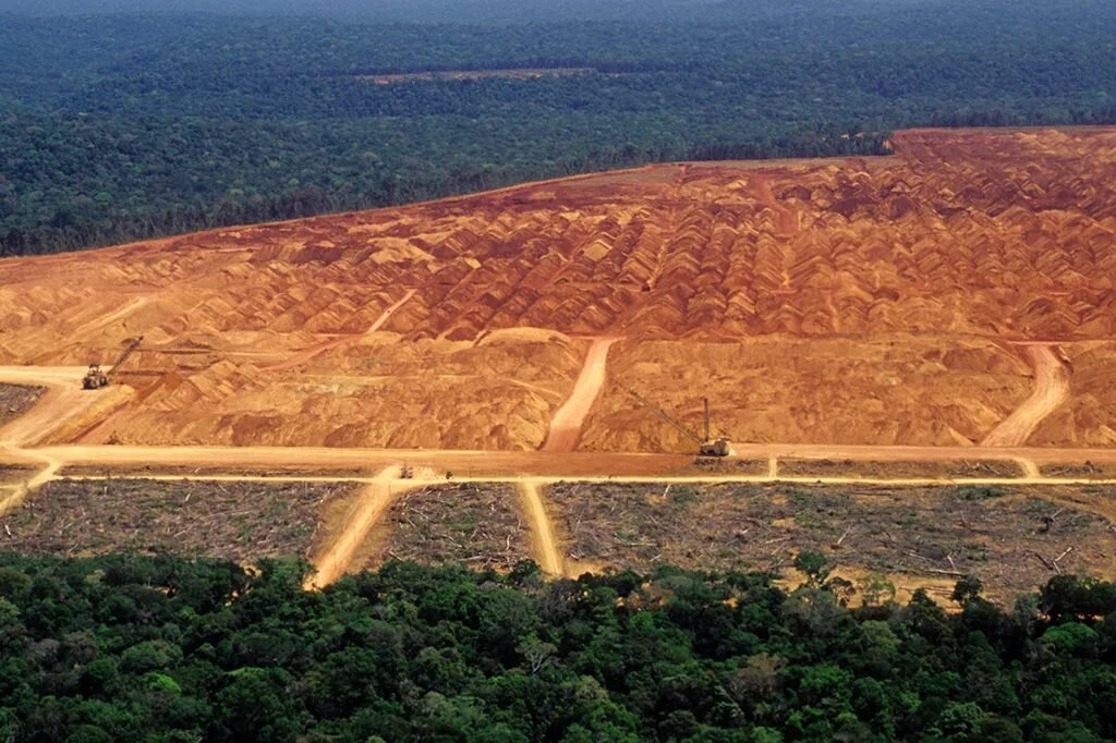 Desmatamento na Amazônia e no Cerrado cai para o menor nível da série histórica