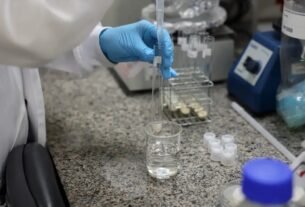 Doença de Newcastle: protocolos sanitários são cumpridos em SC