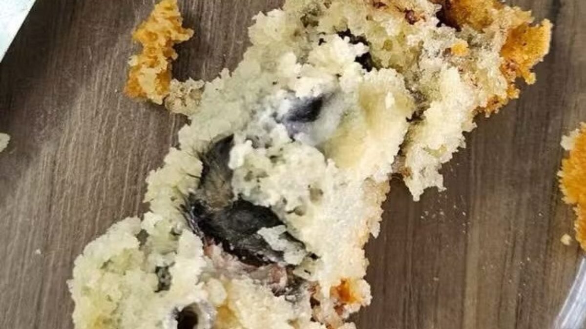 Dona de confeitaria é presa em flagrante após cliente encontrar rato morto dentro de bolo