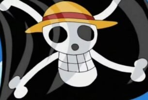Em meio aos protestos na França, fãs japoneses pedem para que manifestantes não usem a bandeira de One Piece como símbolo de resistência