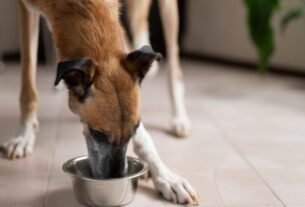 Emagrecimento com estratégia: o papel dos alimentos coadjuvantes para obesidade