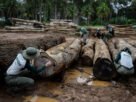 Emissões de gases-estufa caem pelo terceiro ano consecutivo no Brasil