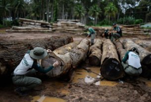 Emissões de gases-estufa caem pelo terceiro ano consecutivo no Brasil