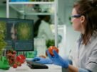 Engenharia de Alimentos não é Gastronomia: veja o que realmente se estuda na faculdade