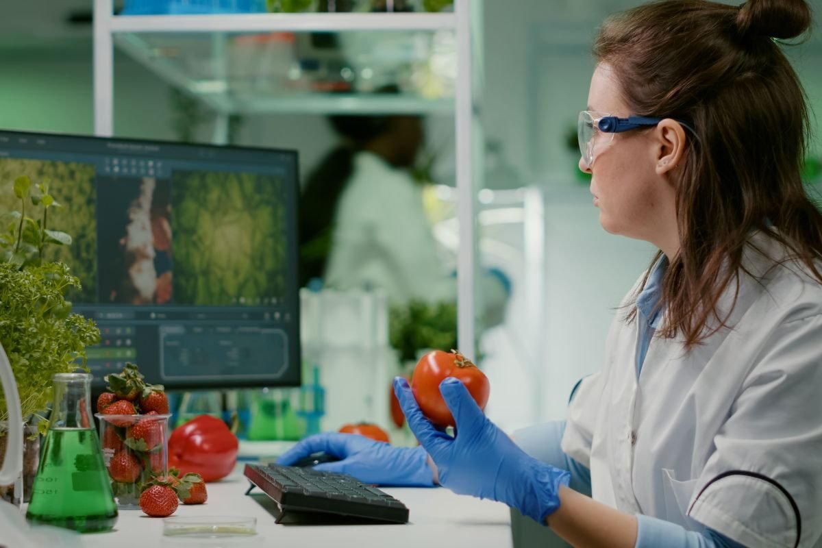 Engenharia de Alimentos não é Gastronomia: veja o que realmente se estuda na faculdade