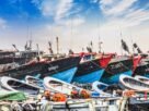 Engenharia de Pesca: 7 áreas em que o formado pode trabalhar
