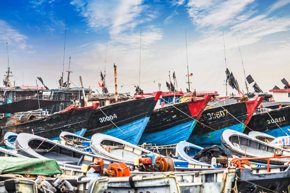 Engenharia de Pesca: 7 áreas em que o formado pode trabalhar