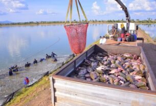 Engenharia de Pesca: como é uma das formações mais diferentes do Brasil?