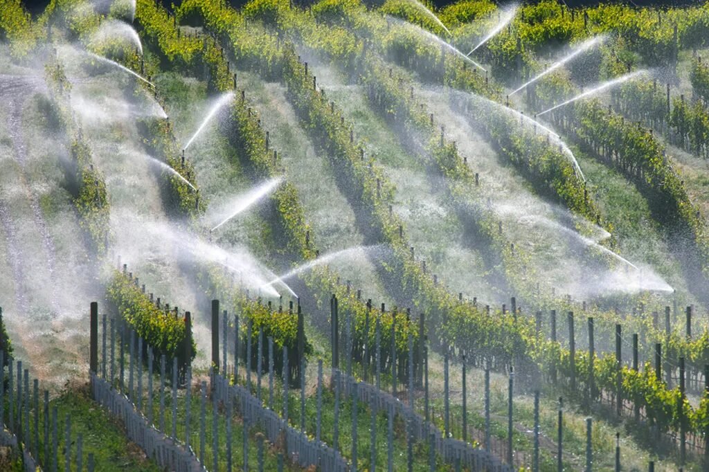 Ensaio distópico: oito maneiras de nos alimentarmos se uma IA rebelde destruir a agricultura moderna