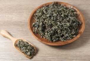 Espiritualidade e natureza: 4 plantas ligadas à intuição, à proteção e à prosperidade