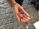 Fentanil circula em maconha sintética e é detectado em um terço dos usuários, aponta estudo da USP