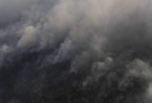 Focos de fogo em Manaus e cidades vizinhas disparam após o primeiro turno das eleições