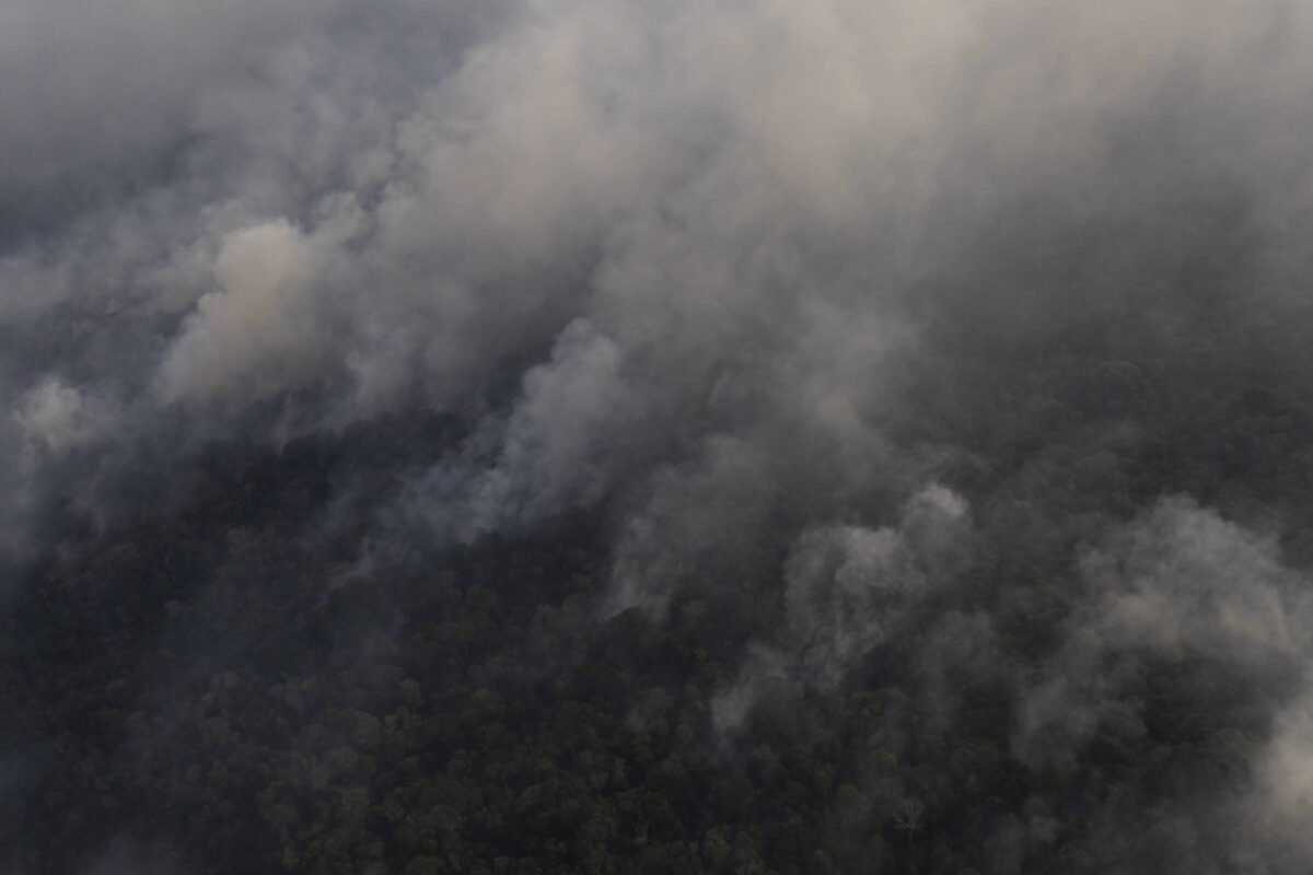 Focos de fogo em Manaus e cidades vizinhas disparam após o primeiro turno das eleições
