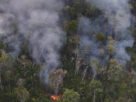 Fogo e desmatamento transformam amazônia em fonte de carbono para a atmosfera