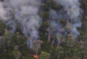 Fogo e desmatamento transformam amazônia em fonte de carbono para a atmosfera