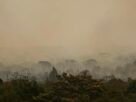 Força Nacional do SUS apoia atendimentos no Amazonas após incêndios