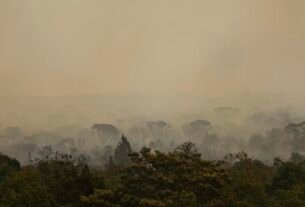 Força Nacional do SUS apoia atendimentos no Amazonas após incêndios