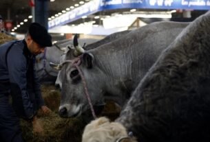 França registra primeiro caso humano do vírus Shamonda que afeta animais de criação