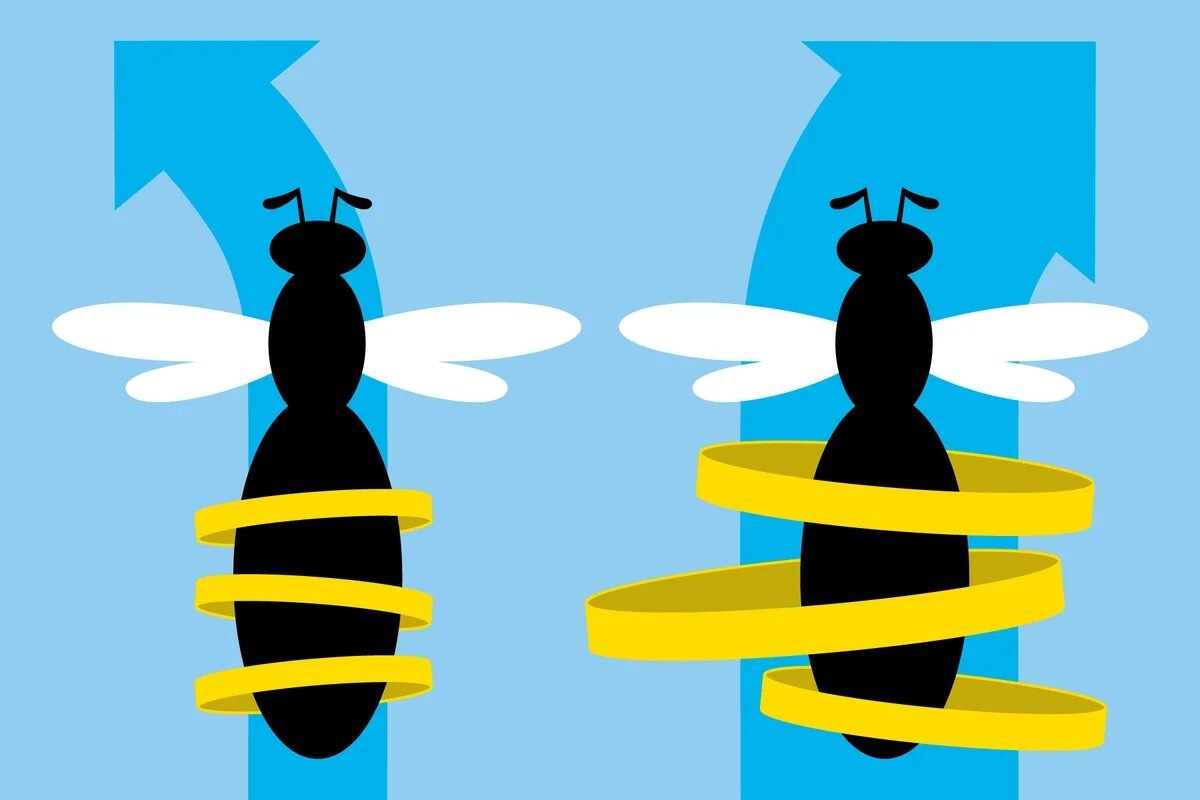 Honeybees deemphasize potential ‘misinformation’ in their waggle dances
