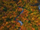 How a year of extreme weather and a ‘Super El Niño’ will affect fall foliage